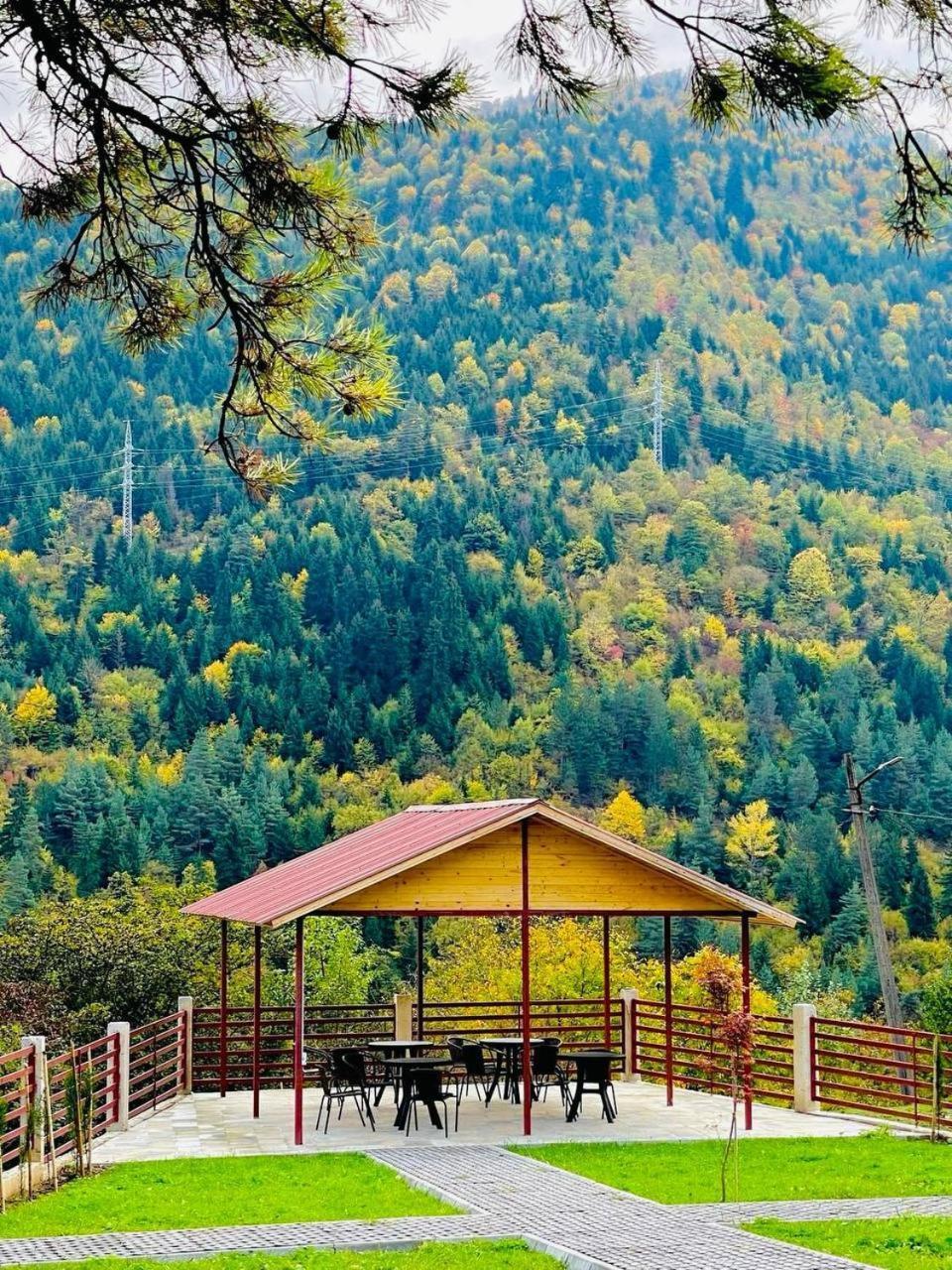 Holiday Borjomi Qvibisi Exterior photo